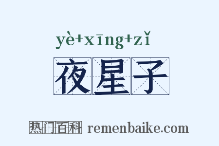 夜星子是什么意思的图片